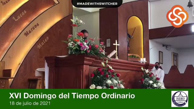 XVI Domingo del Tiempo Ordinario смотреть онлайн