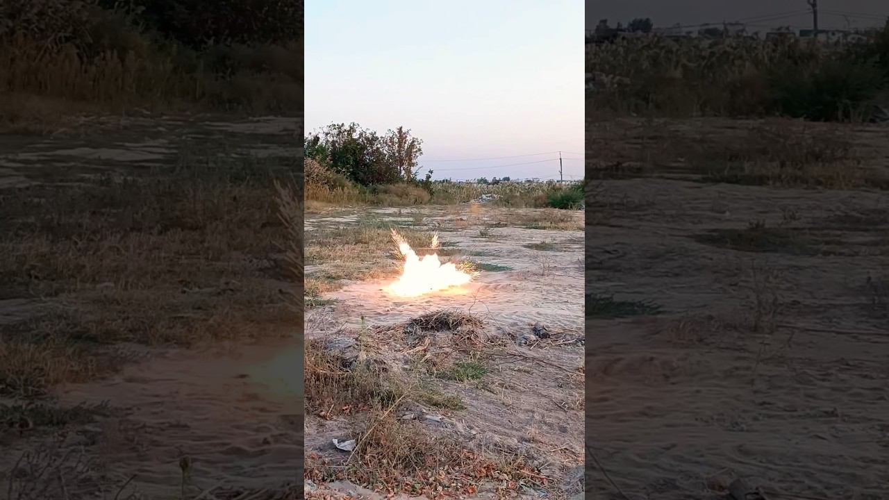 ВЗОРВАЛ ПЕТАРДУ АКУЛА / ТЕСТ ПЕТАРД / #пиротехника #shark #петарда #топ смотреть онлайн