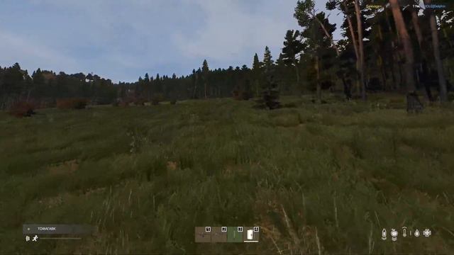 DayZ - великий поход смотреть онлайн