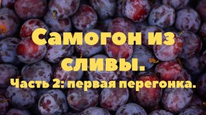 Часть 2 Самогон слива первак