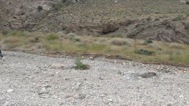 Тамды Ақтау 2 2022 смотреть онлайн