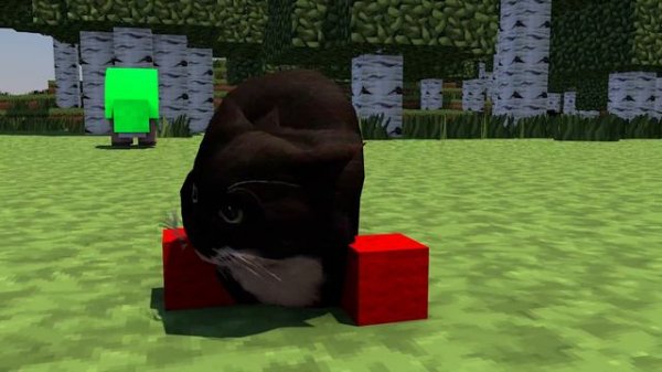 Maxwell The Cat COLORS MINECRAFT! (Speedrunning Spinning Animation) not 360° VR