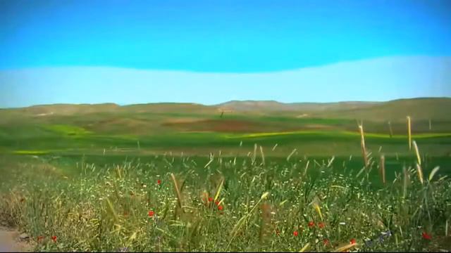 Bahor, Uyg'on! Bahodir Sodiq She'riga Bastalangan Qo'shiq