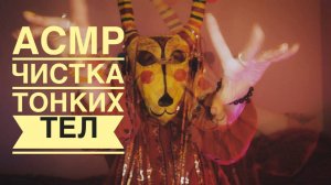 ASMR чистка тонких укушенных тел.