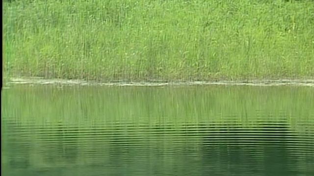 Kitaro - The Field смотреть онлайн