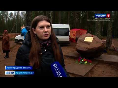 «Волонтеры Победы» стали инициаторами установки памятного знака на Дороге жизни смотреть онлайн