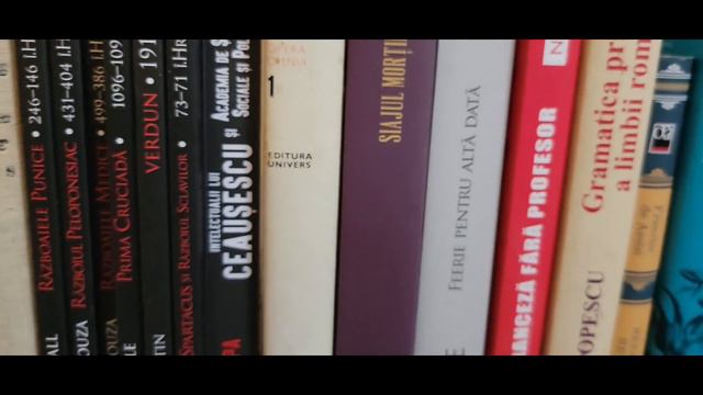 Biblioteca Bogdan Liviu. Turul bibliotecii. 📚 смотреть онлайн