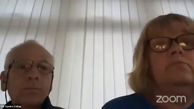 King's Lynn Area Consultative Committee - Special Expenses - 9th November 2020 смотреть онлайн