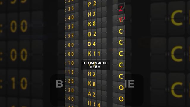 Как мы ОТКРЫВАЛИ свой склад в Китае? #китай #склад #товар смотреть онлайн