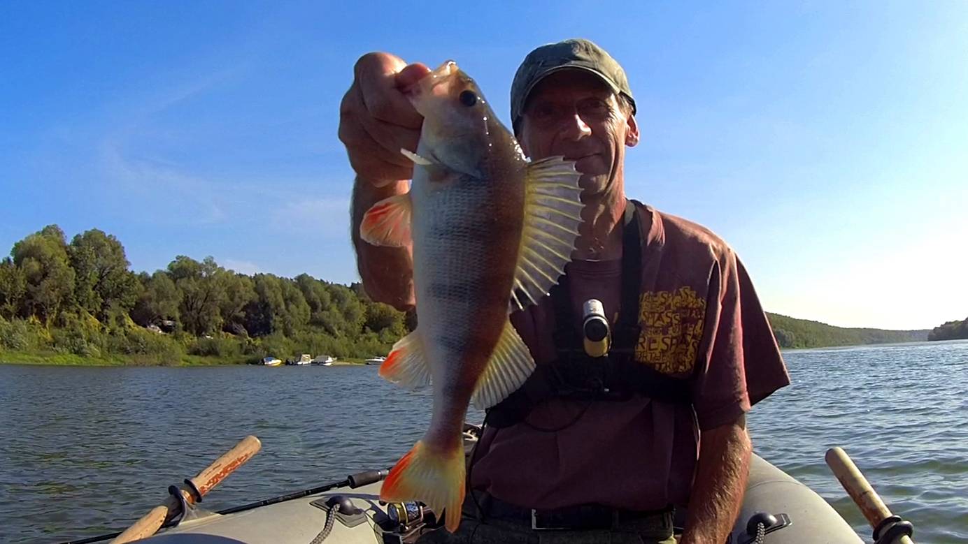 ОКУНЬ С ЛОДКИ НА СПИННИНГ. смотреть онлайн