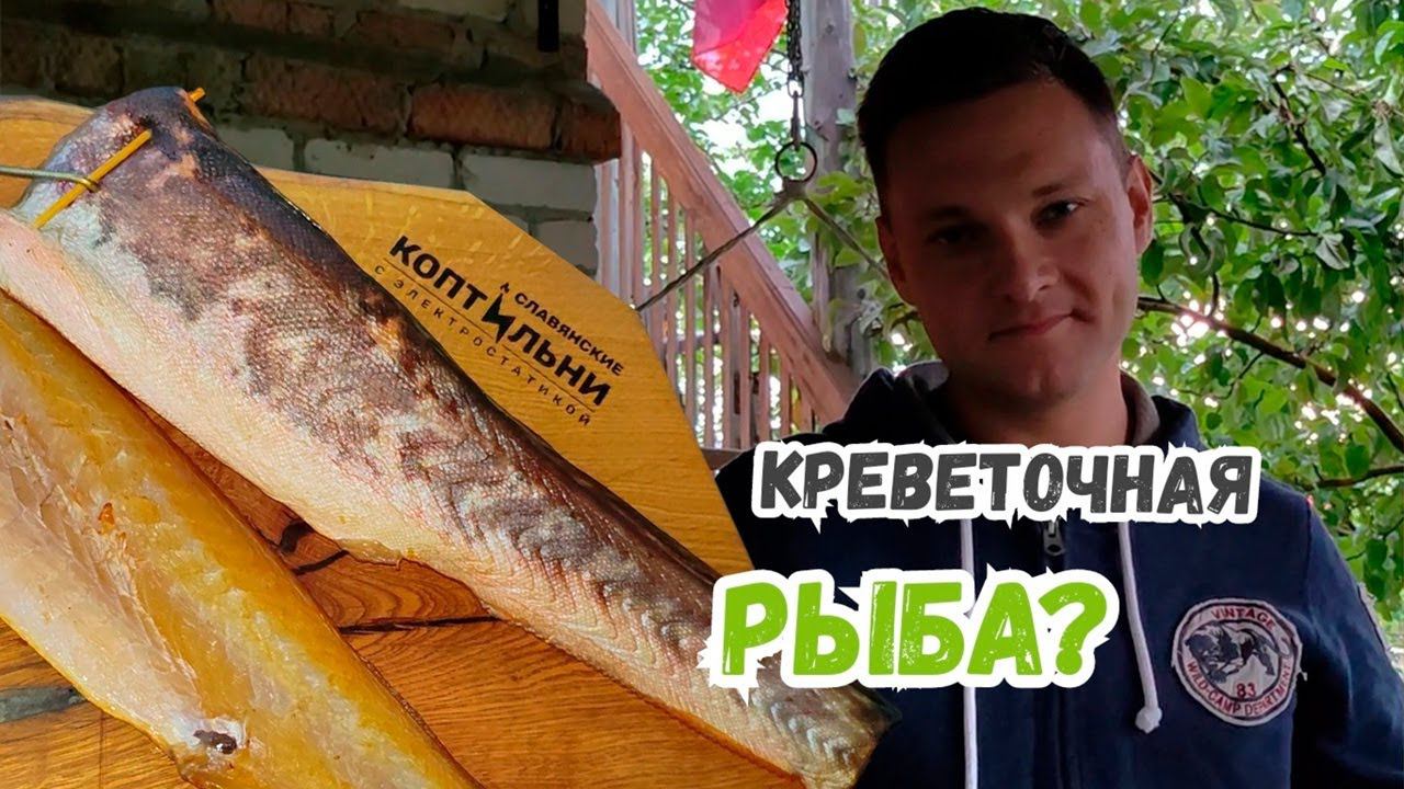 Закоптил КОНГРИО? Что за рыба? Электростатическая коптильня! Холодное копчение за 27 минут! смотреть онлайн