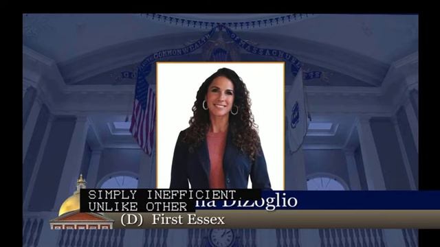 Diana DiZoglio | Senate Floor Speech | Supporting LGBTQ+ Businesses | 07/21/22 смотреть онлайн