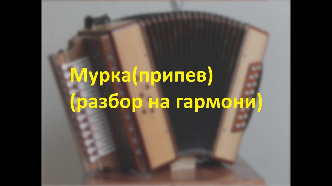 Мурка(припев). Разбор на гармони. смотреть онлайн