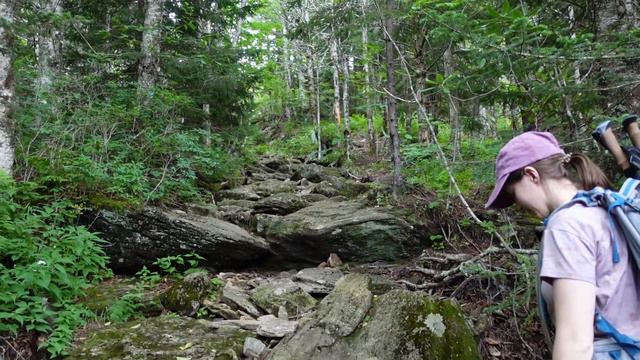 HIKE WITH US | Mount Mitchell Loop, Big Tom & Mount Craig смотреть онлайн