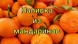 Наливка из мандаринов