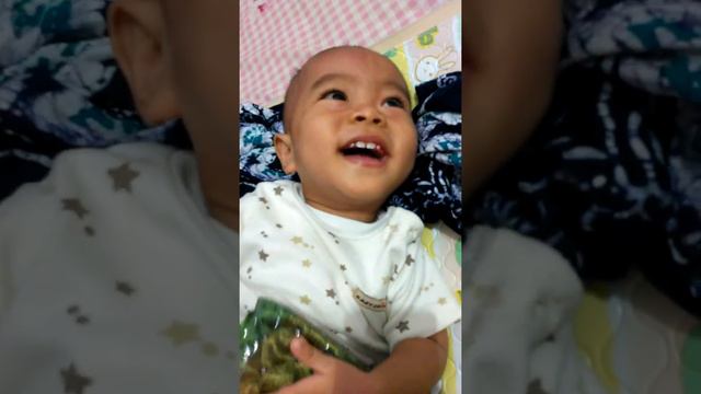 M. Sahal mahfudz смотреть онлайн