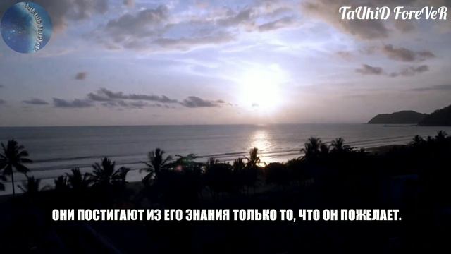 Аятуль Курси 2:255 | Омар Хишам Аль Араби | смотреть онлайн