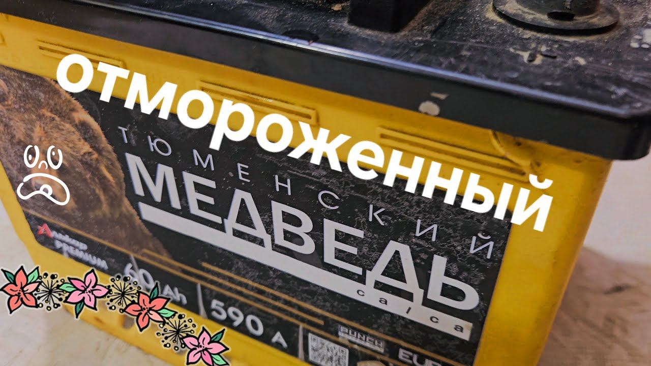 Тюменский медведь со льдом на минималках. смотреть онлайн