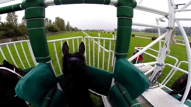 Dostih z pohledu žokejky / střih videa pro Dostihové závodiště v Praze - Chuchli смотреть онлайн