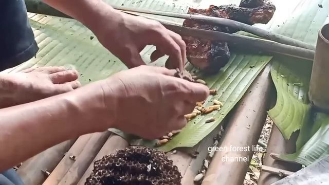 Robert's survival skills from 2020 to 2021. Green forest life смотреть онлайн