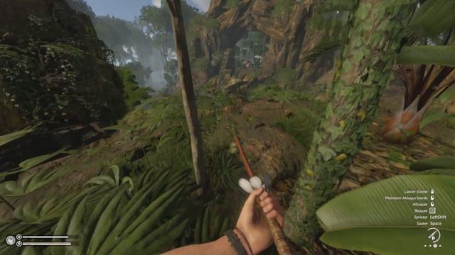 GREEN HELL - SPIRIT OF AMAZONIA PART 3 - LA NOUVELLE MAP ??? #10 смотреть онлайн