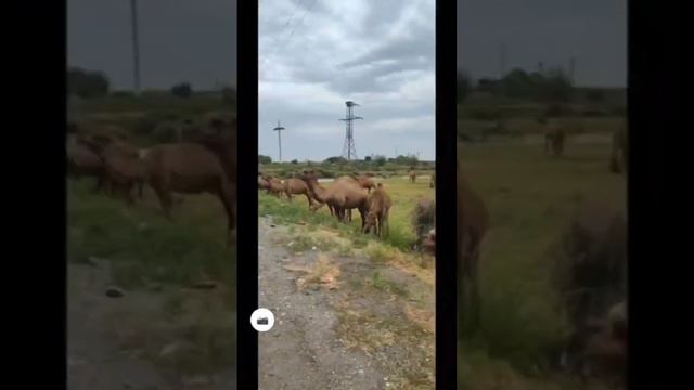 Ташкент -Самарканд но мотоцикле смотреть онлайн