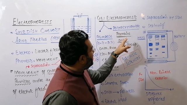 Gel electrophoresis смотреть онлайн