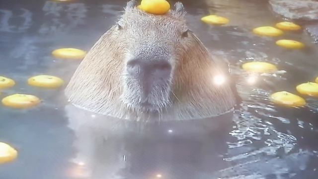 VID_20240918_195809.mp4 смотреть онлайн
