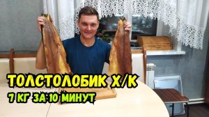 Толстолобик 7 кг холодного копчения за 10 минут! Электростатическая коптильня!