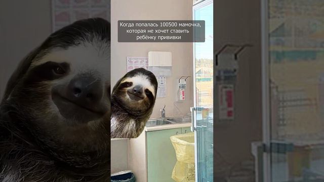 А вы давно сталкивались с такими мамочками? смотреть онлайн