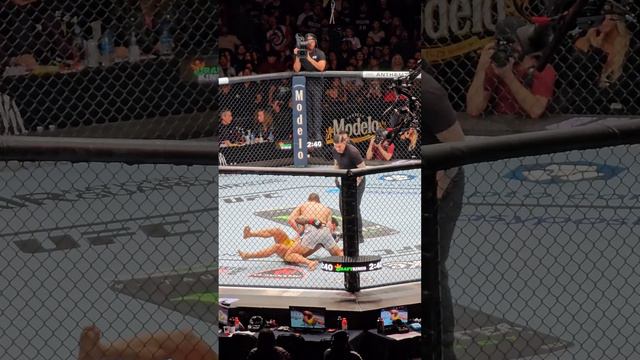 Rodolfo Bellato Vs Ihor Potieria