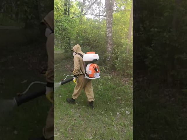 Как проходит процедура уничтожения клещей