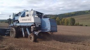 Комбайн Енисей, уборочная