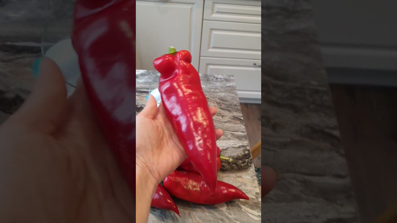 Паланичко чудо. Любимый перец. смотреть онлайн