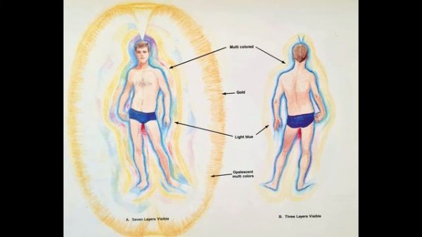 Barbara Ann Brennan | History of the scientific investigation into the human energy field