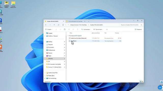 Установка CORONA