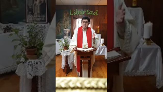 Misa en honor a San Pedro Armengol. смотреть онлайн