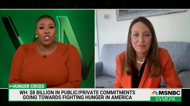 Nancy E. Roman on MSNBC with Symone Sanders смотреть онлайн