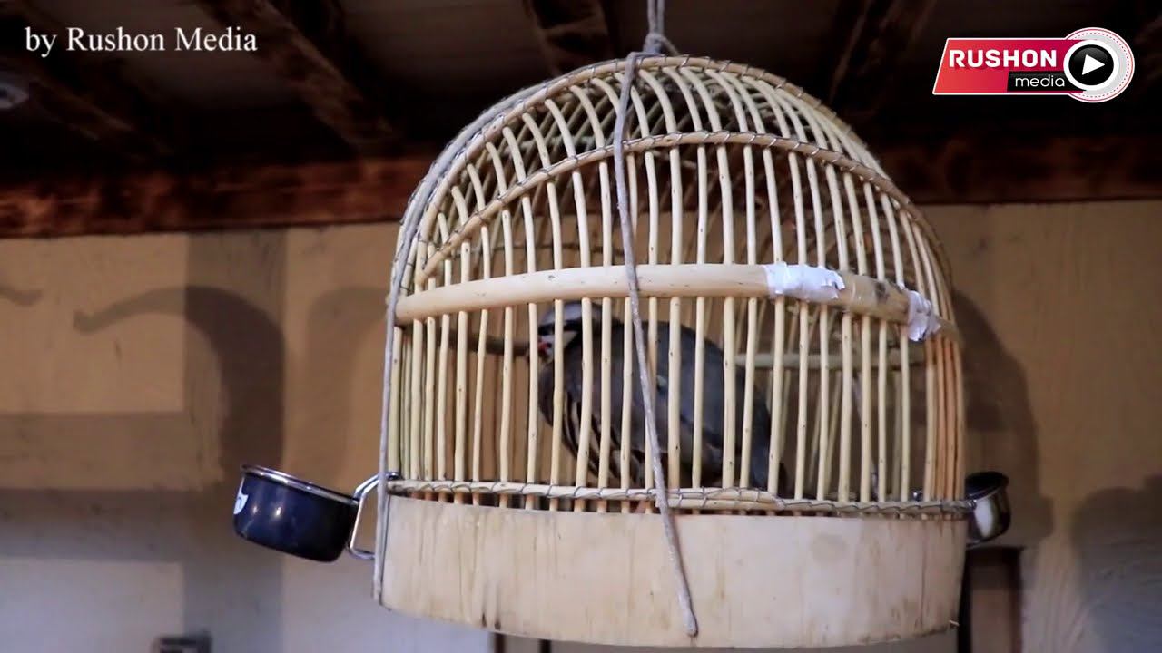 Музей "Памирский Дом" -- В самом центре Москвы ! смотреть онлайн