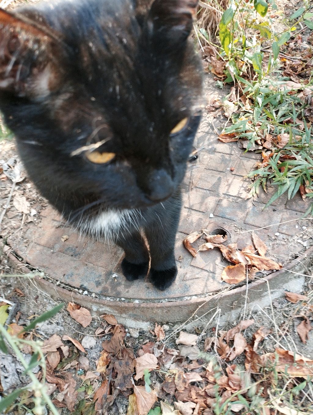 медицина вторая часть