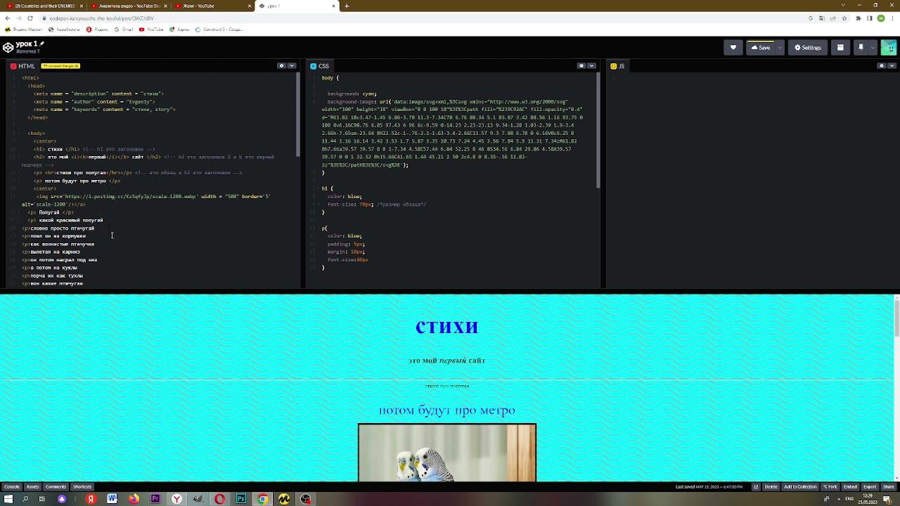 обзор на мой код на сайте codepan смотреть онлайн