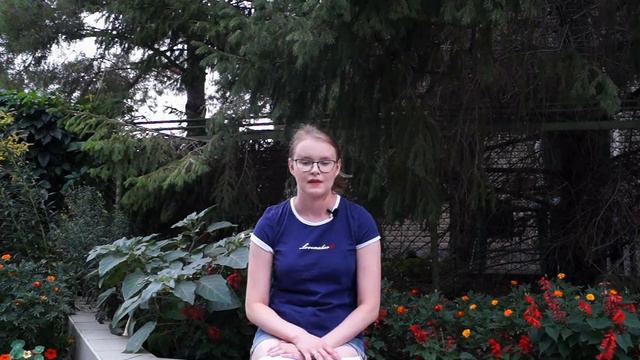 L`Alphabet russe: Е, Ё, Ю, Я, И. La deuxième partie. смотреть онлайн