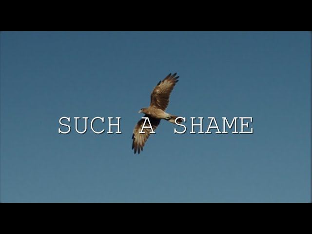 Sandra - Such A Shame (NG Remix) смотреть онлайн