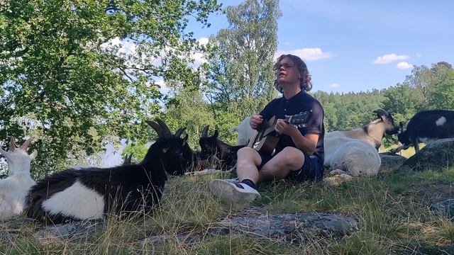 William Båth Lady Lacking (Goat Edition) смотреть онлайн