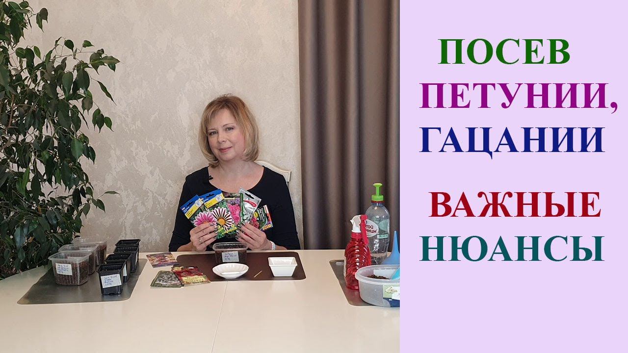 ПОСЕВ ПЕТУНИИ И ГАЦАНИИ. ВАЖНЫЕ НЮАНСЫ. смотреть онлайн