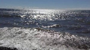 Чудеса в природе.Ангел летит?