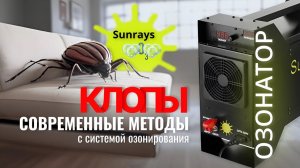 Озонирование от клопов