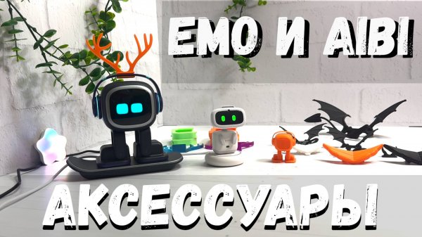 Аксессуары для Emo и Aibi