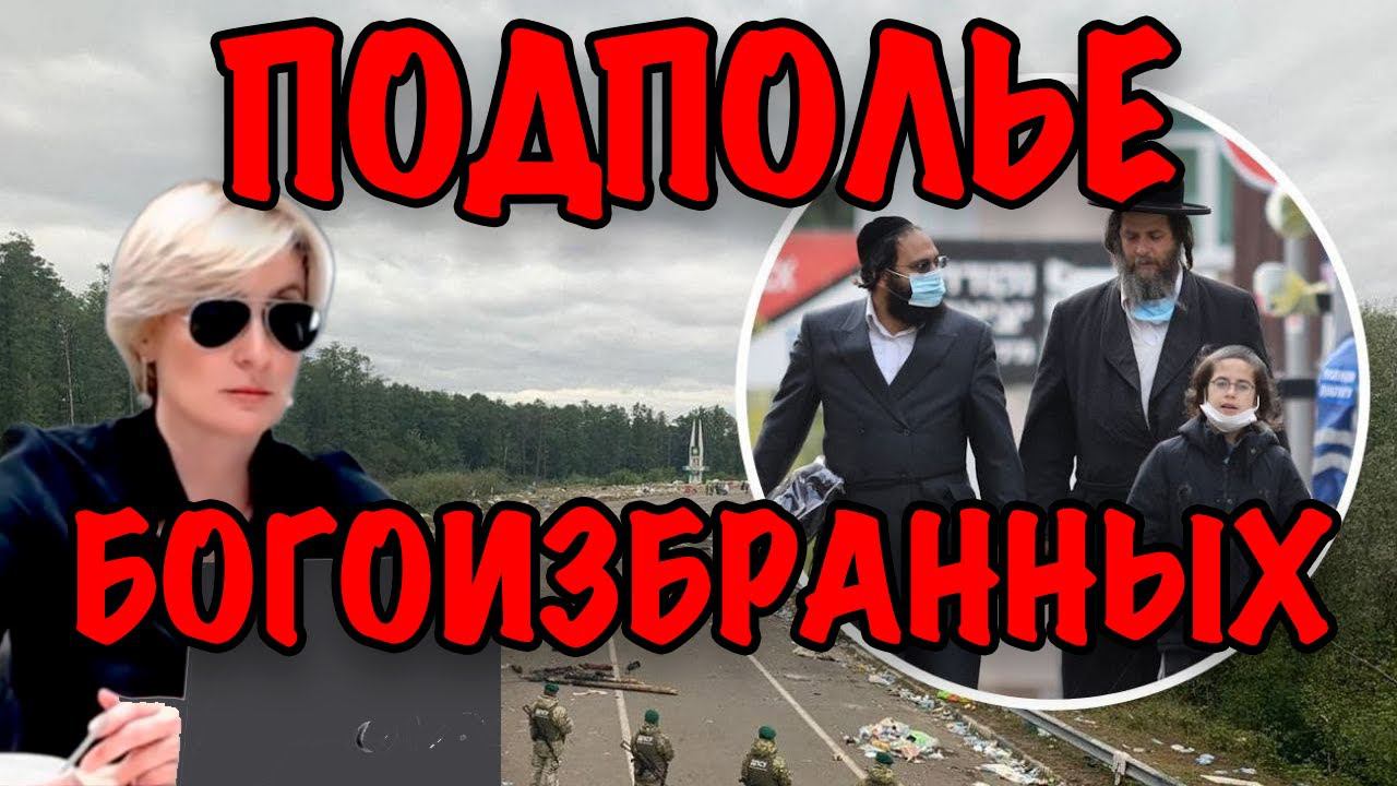 ПОДПОЛЬЕ БОГОИЗБРАННЫХ #ДОДОНОВА смотреть онлайн