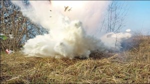 ТЕСТ ПЕТАРД | Shok Buldog | САМЫЕ МОЩНЫЕ ПЕТАРДЫ | МОЯ ПИРОТЕХНИКА | ТОП ВИДЕО | ШОК КОНТЕНТ | ВЗРЫВ